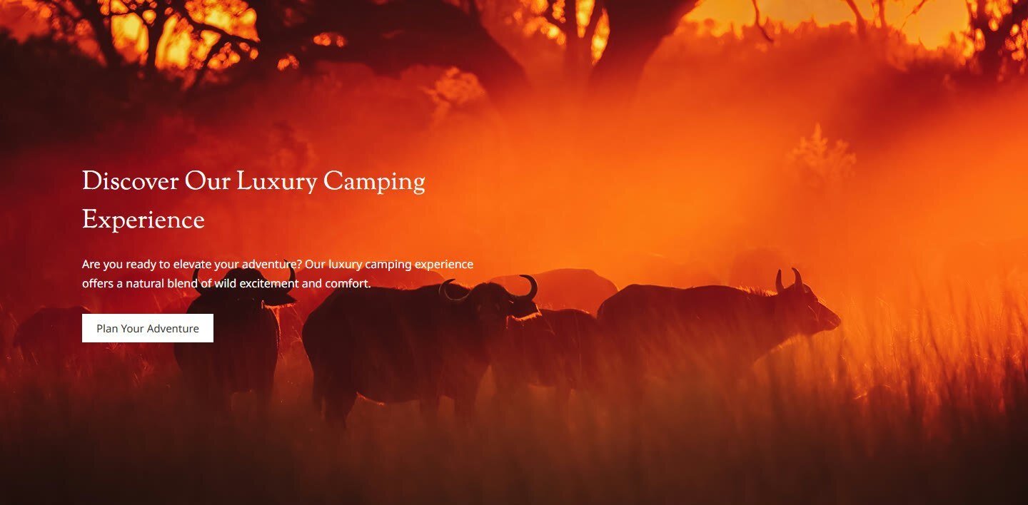 A prompt to plan an adventure sits on the home page.